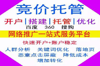 SEM竞价代运营成功案例解析